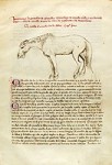 Download PDF