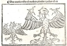 Download PDF